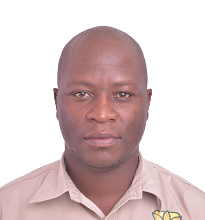 Chikweshe