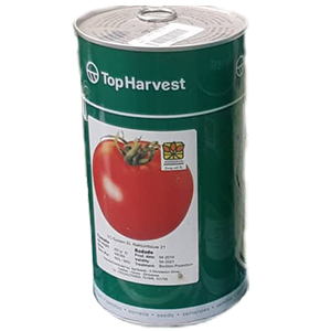 TOMATO RODADE